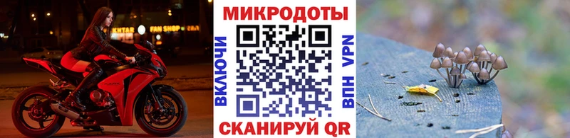 blacksprut как зайти  Полесск  Галлюциногенные грибы ЛСД 